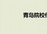 青岛院校代码（青岛院校）