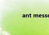 ant messenger是什么意思