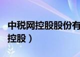 中税网控股股份有限公司是做什么的（中税网控股）
