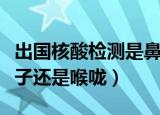 出国核酸检测是鼻子还是喉咙（核酸检测是鼻子还是喉咙）