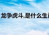 龙争虎斗,是什么生肖（龙争虎斗是什么生肖）