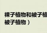 裸子植物和被子植物的共同特征（裸子植物和被子植物）