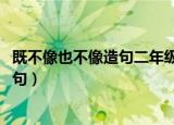 既不像也不像造句二年级下册简单（既不像      也不像      造句）