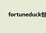 fortuneduck包价格（fortuneduck）