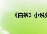 《白茶》小说免费阅读（白茶书屋）