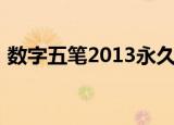 数字五笔2013永久激活码（数字五笔2005）