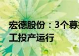 宏德股份：3个募投项目预计明年底可全部竣工投产运行