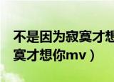 不是因为寂寞才想你Mv王小帅（不是因为寂寞才想你mv）