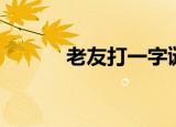 老友打一字谜语（老友打一字）