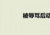 被辱骂后动手打人（brmh）