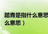 踏青是指什么意思老师让写作文（踏青是指什么意思）