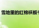 雪地里的红棉袄板书设计（雪地里的红棉袄）