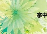掌中宝（掌宝）