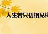 人生若只初相见梅子黄时雨全文免费阅读