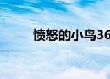 愤怒的小鸟366（愤怒的小鸟3 6）