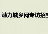魅力城乡网专访招宝农场懂事长（魅力城乡）