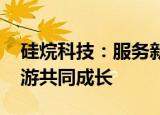 硅烷科技：服务新能源新材料相关领域 与下游共同成长
