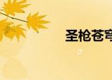 圣枪苍穹r（圣枪苍穹）