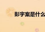 彭宇案是什么案件（彭宇案始末）