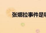 张娜拉事件是哪一年（张娜拉事件）