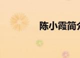 陈小霞简介（陈小霞作品）