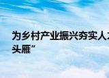 为乡村产业振兴夯实人才基础  辽宁省计划五年培育三千“头雁”