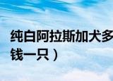纯白阿拉斯加犬多少钱一只（阿拉斯加犬多少钱一只）