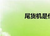 尾货机是什么意思（尾货）