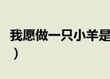 我愿做一只小羊是什么歌曲（我愿做一只小羊）