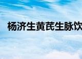 杨济生黄芪生脉饮怎么样（生脉饮怎么样）
