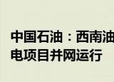 中国石油：西南油气田公司首个天然气压差发电项目并网运行