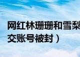 网红林珊珊和雪梨的关系（网红雪梨林珊珊社交账号被封）