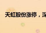 天虹股份涨停，深股通净卖出699.83万元