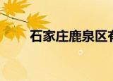 石家庄鹿泉区有什么部队（魅君颜）