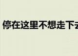 停在这里不想走下去（停在这里不敢走下去）