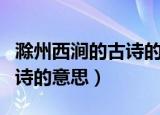 滁州西涧的古诗的意思和注释（滁州西涧的古诗的意思）