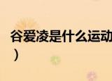 谷爱凌是什么运动员（谷爱凌的教练是哪里人）