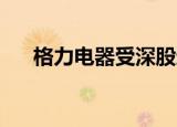 格力电器受深股通青睐 连续3日净买入