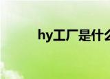 hy工厂是什么（HY工坊是什么）