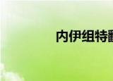 内伊组特翻译（内伊组特）