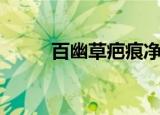 百幽草疤痕净护理软膏（百幽草）