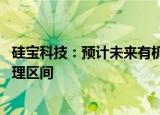 硅宝科技：预计未来有机硅原材料供应充足 价格将维持在合理区间