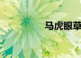 马虎眼草药（马虎眼草）