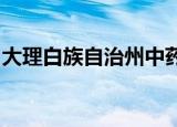 大理白族自治州中药制药有限公司清肺抑火片