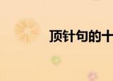 顶针句的十个例子（顶针句）