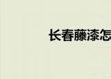 长春藤漆怎么样（长春藤漆）