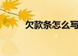 欠款条怎么写样本图片（欠款条）
