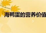 海鸭蛋的营养价值及功效与作用（海鸭蛋）