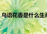 鸟语花香是什么生肖（鸟语花香打一个生肖）