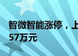 智微智能涨停，上榜营业部合计净买入5208.57万元